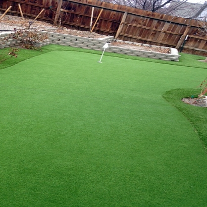 Fake Grass Reno Texas Landscape Back Yard