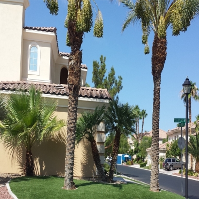 Artificial Grass Talty Texas Lawn Front Yard
