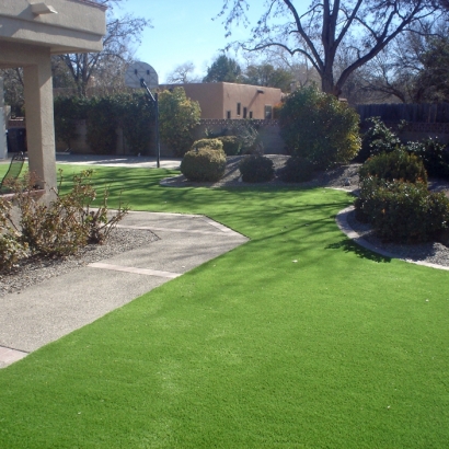 Synthetic Pet Grass Cedar Hill Texas for Dogs Front Yard