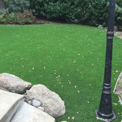 Synthetic Grass Seven Points Texas Landscape Front Yard