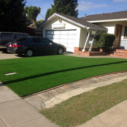 Putting Greens Cross Roads Texas Artificial Grass Back Yard