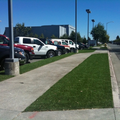 Fake Turf Rowlett Texas Landscape Commercial Landscape