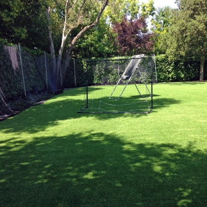 Fake Turf Double Oak Texas Landscape Front Yard