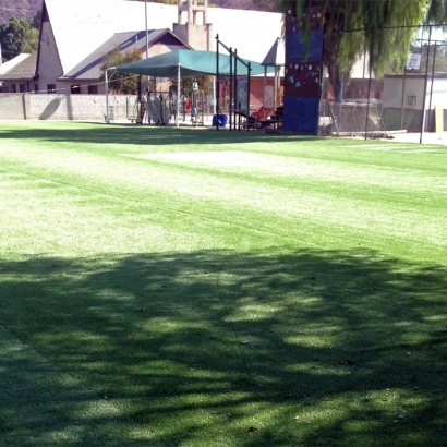 Fake Grass Cross Timber Texas Landscape Back Yard