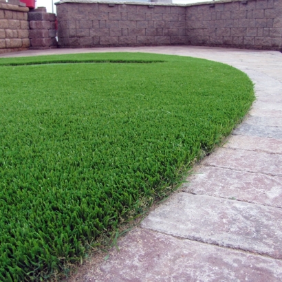 Synthetic Grass Princeton Texas Landscape Back Yard