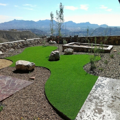 Fake Turf Hackberry Texas Landscape Back Yard Front Yard