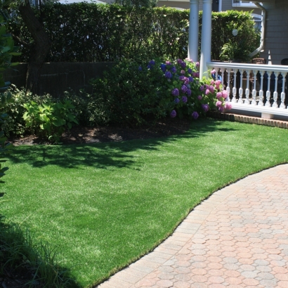 Fake Grass Cross Roads Texas Lawn Commercial Landscape