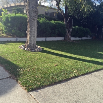 Artificial Turf Emhouse Texas Landscape Back Yard