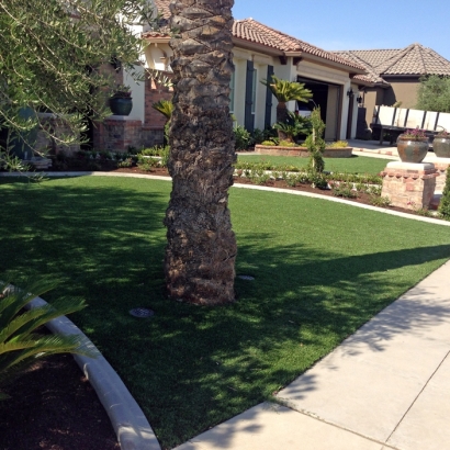 Golf Putting Greens Red Oak Texas Fake Turf Front Yard