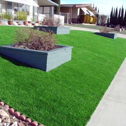 Artificial Pet Turf Azle Texas for Dogs Front Yard